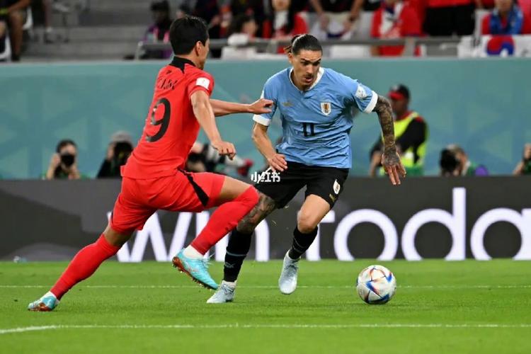 乌拉圭vs韩国