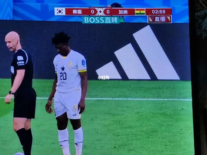 韩国vs加纳打平