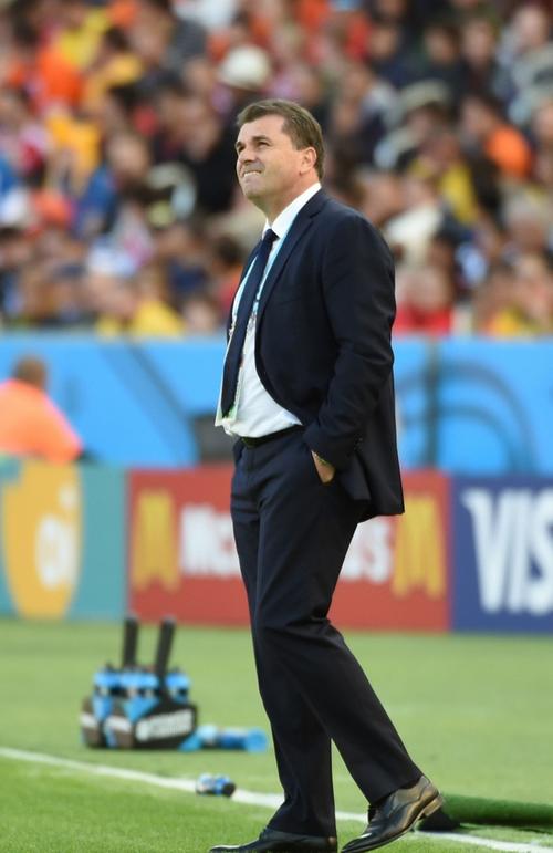 2014世界杯巴西队主教练