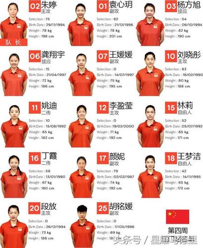 2016年奥运会女排冠军成员及名单